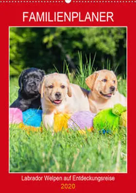 Starick |  Familienplaner - Labrador Welpen entdecken die Welt (Wandkalender 2020 DIN A2 hoch) | Sonstiges |  Sack Fachmedien