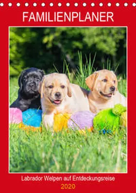Starick |  Familienplaner - Labrador Welpen entdecken die Welt (Tischkalender 2020 DIN A5 hoch) | Sonstiges |  Sack Fachmedien