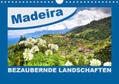 Schmidt |  MADEIRA Bezaubernde Landschaften (Wandkalender 2020 DIN A4 quer) | Sonstiges |  Sack Fachmedien