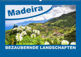 Schmidt | MADEIRA Bezaubernde Landschaften (Wandkalender 2020 DIN A2 quer) | Sonstiges | 978-3-671-39772-3 | sack.de