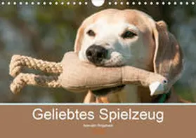 Bölts |  Geliebtes Spielzeug - Azawakh Ridgeback (Wandkalender 2020 DIN A4 quer) | Sonstiges |  Sack Fachmedien