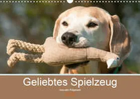 Bölts |  Geliebtes Spielzeug - Azawakh Ridgeback (Wandkalender 2020 DIN A3 quer) | Sonstiges |  Sack Fachmedien