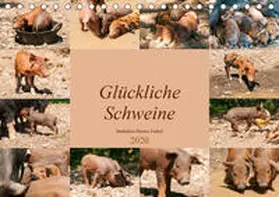 Bölts |  Glückliche Schweine Berkshire-Iberico Ferkel (Tischkalender 2020 DIN A5 quer) | Sonstiges |  Sack Fachmedien