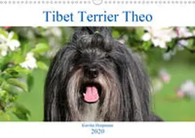 Heepmann |  Tibet Terrier Theo (Wandkalender 2020 DIN A3 quer) | Sonstiges |  Sack Fachmedien