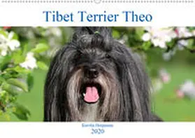Heepmann |  Tibet Terrier Theo (Wandkalender 2020 DIN A2 quer) | Sonstiges |  Sack Fachmedien
