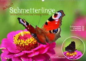 Löwer |  achja?! Schmetterlinge, zerbrechlich, bunt und wunderschön (Wandkalender 2020 DIN A2 quer) | Sonstiges |  Sack Fachmedien