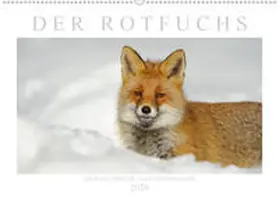 Breuer |  Der Rotfuchs (Wandkalender 2020 DIN A2 quer) | Sonstiges |  Sack Fachmedien