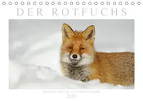Breuer | Der Rotfuchs (Tischkalender 2020 DIN A5 quer) | Sonstiges | 978-3-671-40697-5 | www.sack.de