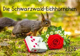 Adam |  Die Schwarzwald-Eichhörnchen (Wandkalender 2020 DIN A3 quer) | Sonstiges |  Sack Fachmedien