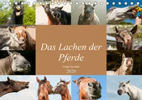 Bölts |  Das Lachen der Pferde - Lustige Gesichter (Tischkalender 2020 DIN A5 quer) | Sonstiges |  Sack Fachmedien
