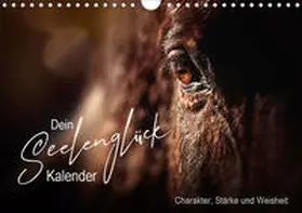 Katharina Siebel |  Seelenglück Kalender - Charakter, Stärke, Weisheit (Wandkalender 2020 DIN A4 quer) | Sonstiges |  Sack Fachmedien