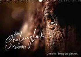 Katharina Siebel |  Seelenglück Kalender - Charakter, Stärke, Weisheit (Wandkalender 2020 DIN A3 quer) | Sonstiges |  Sack Fachmedien