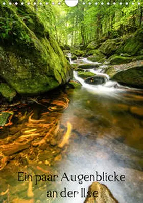 Schulz |  Augenblicke an der Ilse (Wandkalender 2020 DIN A4 hoch) | Sonstiges |  Sack Fachmedien