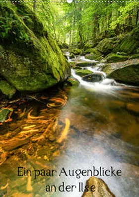 Schulz |  Augenblicke an der Ilse (Wandkalender 2020 DIN A2 hoch) | Sonstiges |  Sack Fachmedien