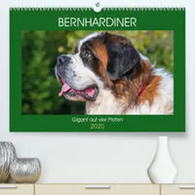 Starick |  Bernhardiner - Gigant auf vier Pfoten (Premium, hochwertiger DIN A2 Wandkalender 2020, Kunstdruck in Hochglanz) | Sonstiges |  Sack Fachmedien