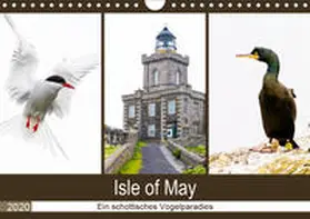 Webeler |  Isle of May - Ein schottisches Vogelparadies (Wandkalender 2020 DIN A4 quer) | Sonstiges |  Sack Fachmedien