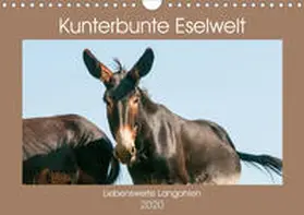 Bölts |  Kunterbunte Eselwelt - Liebenswerte Langohren (Wandkalender 2020 DIN A4 quer) | Sonstiges |  Sack Fachmedien