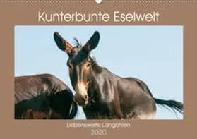Bölts |  Kunterbunte Eselwelt - Liebenswerte Langohren (Wandkalender 2020 DIN A2 quer) | Sonstiges |  Sack Fachmedien