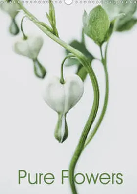 Lauermann |  Pure Flowers (Wandkalender 2020 DIN A3 hoch) | Sonstiges |  Sack Fachmedien