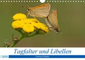 Butke |  Schmetterlinge und Libellen (Wandkalender 2020 DIN A4 quer) | Sonstiges |  Sack Fachmedien