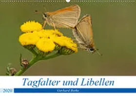 Butke |  Schmetterlinge und Libellen (Wandkalender 2020 DIN A2 quer) | Sonstiges |  Sack Fachmedien