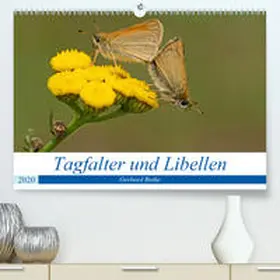Butke |  Schmetterlinge und Libellen (Premium, hochwertiger DIN A2 Wandkalender 2020, Kunstdruck in Hochglanz) | Sonstiges |  Sack Fachmedien