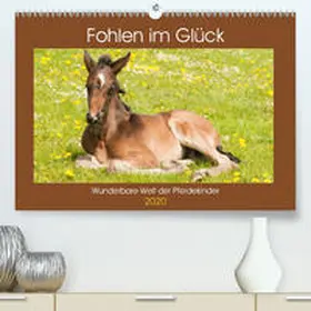 Bölts |  Fohlen im Glück - Wunderbare Welt der Pferdekinder (Premium, hochwertiger DIN A2 Wandkalender 2020, Kunstdruck in Hochglanz) | Sonstiges |  Sack Fachmedien