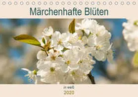 Bölts |  Märchenhafte Blüten in weiß (Tischkalender 2020 DIN A5 quer) | Sonstiges |  Sack Fachmedien