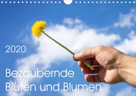 Gann |  Bezaubernde Blüten und Blumen (Wandkalender 2020 DIN A4 quer) | Sonstiges |  Sack Fachmedien