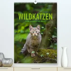 Krutz |  Wildkatzen - Kleine Samtpfoten des Waldes (Premium, hochwertiger DIN A2 Wandkalender 2020, Kunstdruck in Hochglanz) | Sonstiges |  Sack Fachmedien