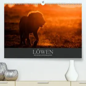 Krutz |  Löwen Wildlife-Fotografien (Premium, hochwertiger DIN A2 Wandkalender 2020, Kunstdruck in Hochglanz) | Sonstiges |  Sack Fachmedien