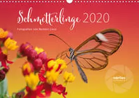 Liesz |  Exotische Schmetterlinge 2020 (Wandkalender 2020 DIN A3 quer) | Sonstiges |  Sack Fachmedien