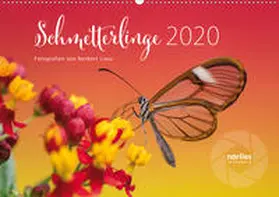 Liesz |  Exotische Schmetterlinge 2020 (Wandkalender 2020 DIN A2 quer) | Sonstiges |  Sack Fachmedien