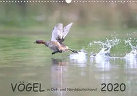 Jansen | Vögel in Ost- und Norddeutschland 2020 (Wandkalender 2020 DIN A3 quer) | Sonstiges | 978-3-671-44244-7 | sack.de