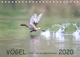 Jansen | Vögel in Ost- und Norddeutschland 2020 (Tischkalender 2020 DIN A5 quer) | Sonstiges | 978-3-671-44245-4 | sack.de