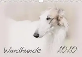 Redecker |  Windhunde 2020 (Wandkalender 2020 DIN A4 quer) | Sonstiges |  Sack Fachmedien