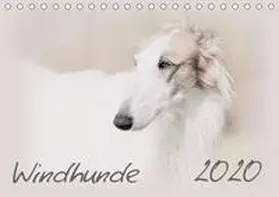 Redecker | Windhunde 2020 (Tischkalender 2020 DIN A5 quer) | Sonstiges | 978-3-671-44355-0 | www.sack.de