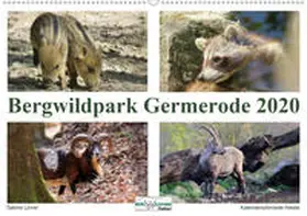 Löwer |  Bergwildpark Germerode (Wandkalender 2020 DIN A2 quer) | Sonstiges |  Sack Fachmedien