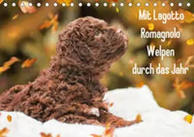 Starick |  Mit Lagotto Romagnolo Welpen durch das Jahr (Tischkalender 2020 DIN A5 quer) | Sonstiges |  Sack Fachmedien