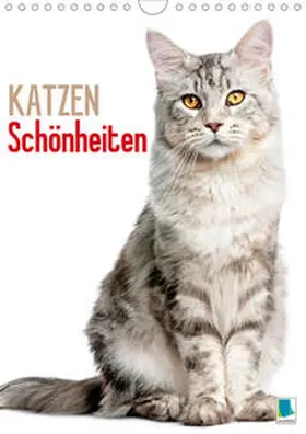 Calvendo / CALVENDO |  Katzen-Schönheiten (Wandkalender 2021 DIN A4 hoch) | Sonstiges |  Sack Fachmedien