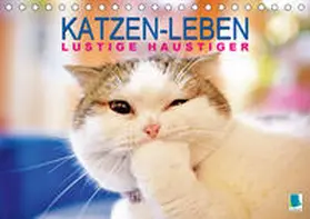 Calvendo / CALVENDO |  Katzen-Leben: Lustiger Haustiger (Tischkalender 2021 DIN A5 quer) | Sonstiges |  Sack Fachmedien