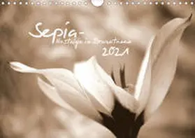 Tinadefortunata / tinadefortunata |  Sepia - Nostalgie in Brauntönen (Wandkalender 2021 DIN A4 quer) | Sonstiges |  Sack Fachmedien
