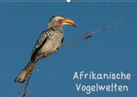Wolf |  Afrikanische Vogelwelten (Wandkalender 2021 DIN A2 quer) | Sonstiges |  Sack Fachmedien
