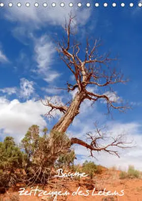 Roth |  Bäume - Zeitzeugen des Lebens (Tischkalender 2021 DIN A5 hoch) | Sonstiges |  Sack Fachmedien