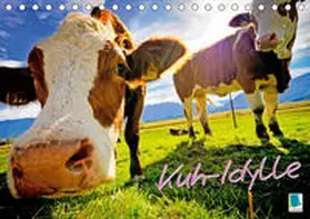 Calvendo / CALVENDO |  Kuh-Idylle (Tischkalender 2021 DIN A5 quer) | Sonstiges |  Sack Fachmedien