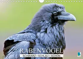 Calvendo / CALVENDO |  Rabenvögel: Schwarz, schlau, schön (Wandkalender 2021 DIN A4 quer) | Sonstiges |  Sack Fachmedien
