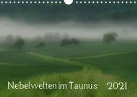 Wolf |  Nebelwelten im Taunus (Wandkalender 2021 DIN A4 quer) | Sonstiges |  Sack Fachmedien