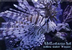 Hebbel-Seeger |  Abgetaucht - Leben unter Wasser (Wandkalender 2021 DIN A3 quer) | Sonstiges |  Sack Fachmedien