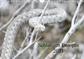 Wilms |  Schlangen Europas (Wandkalender 2021 DIN A4 quer) | Sonstiges |  Sack Fachmedien