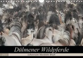 Mielewczyk |  Dülmener Wildpferde - Lebensraum Meerfelder Bruch (Wandkalender 2021 DIN A4 quer) | Sonstiges |  Sack Fachmedien